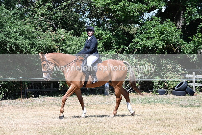 WJ7_2737 - Class 7 Riding Club Show Horse