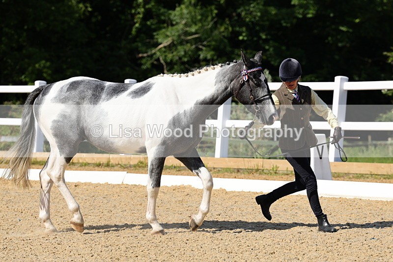 1X9A0759 - Class 4: Youngstock 1, 2, 3 year old to exceed 153cm
