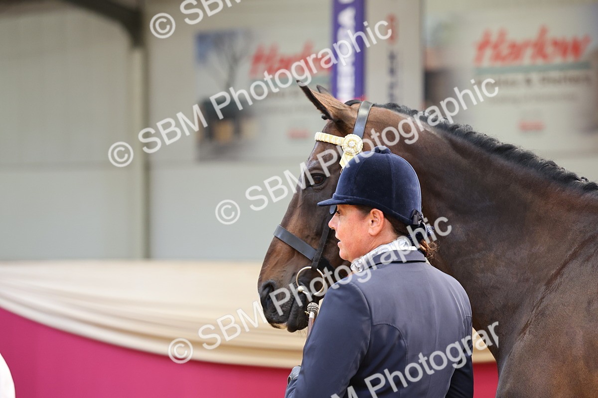 SBM_22896 - Class 903 - Supreme Final - IH Pre Vet