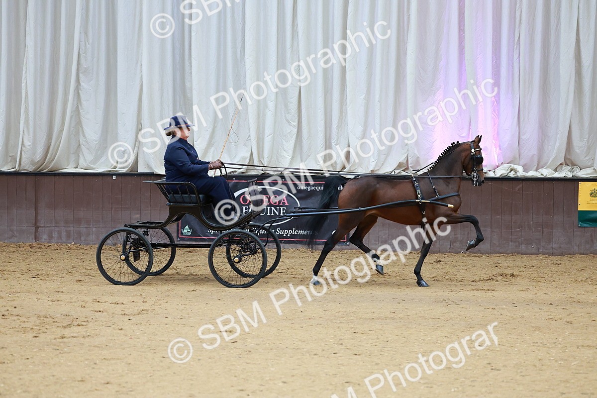 SBM_000610 - Class 9 - HHS Championship Intl Hackney Pony to a Showwagon