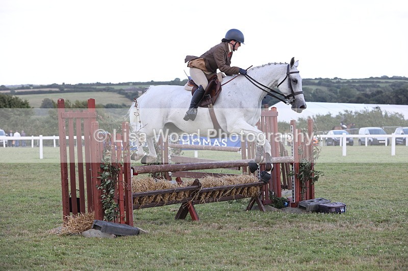 JPP_3643 - Class 24: Open Working Hunter