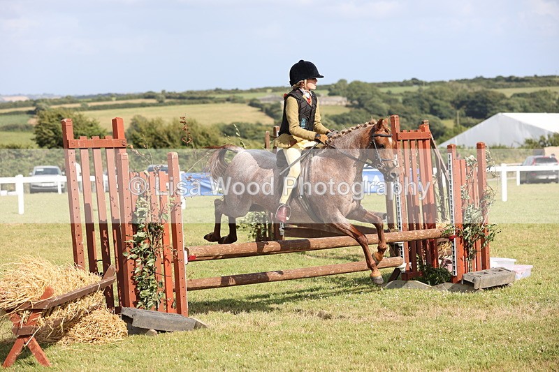 JPP_2832 - Class 20: Working Hunter 70cm