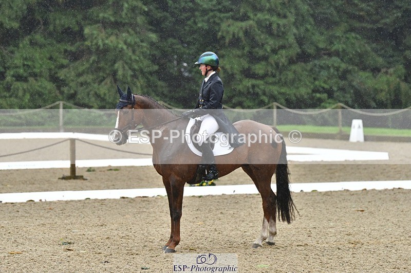 231018-144046-00619 - 002-CHILLI.BILL-Alicia.Wilkinson-DR