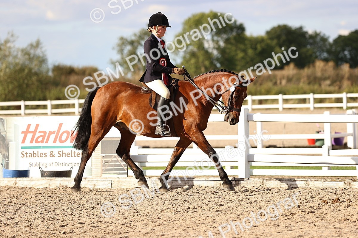 SBM_18296 - Class 423 - Equitation (best rider) Adult