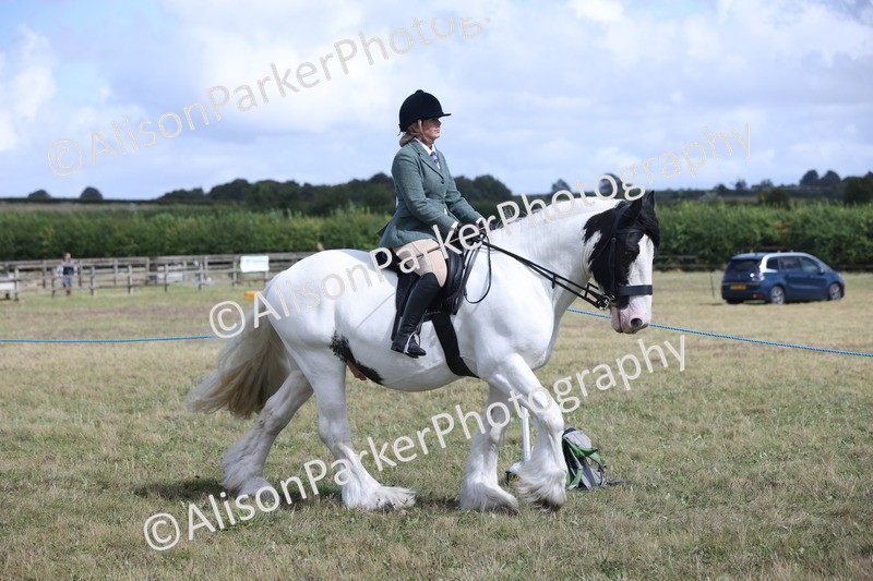 20250831-4180 - Class 20 - Ridden Coloured