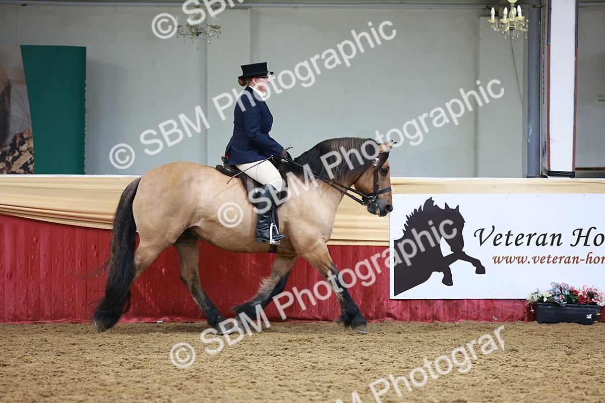 SBM_18615 - Class 952 - M&M Ridden Supreme Final