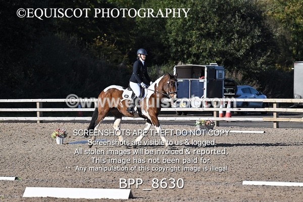 BPP_8630 - SHORT ARENA INTRO 3