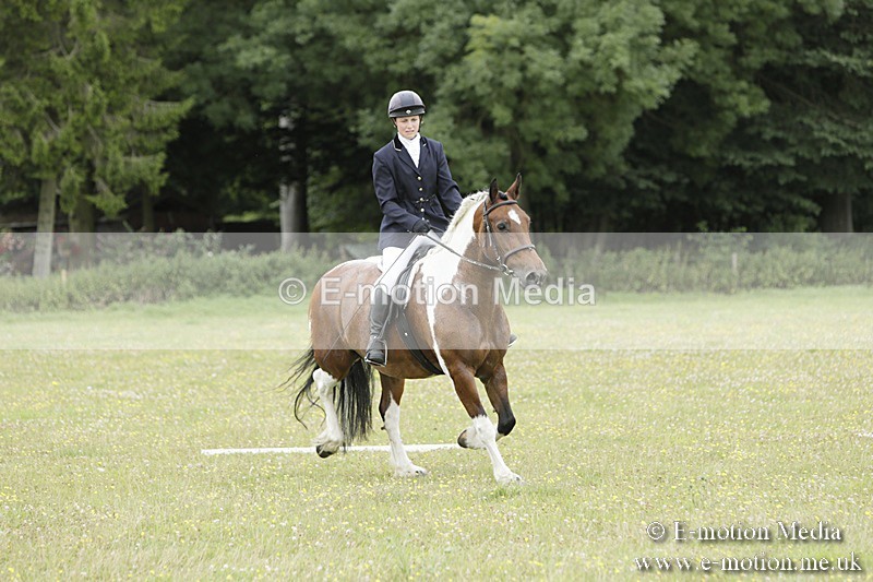 BVR160717-1378 - Class 3 Dressage 16/07/17