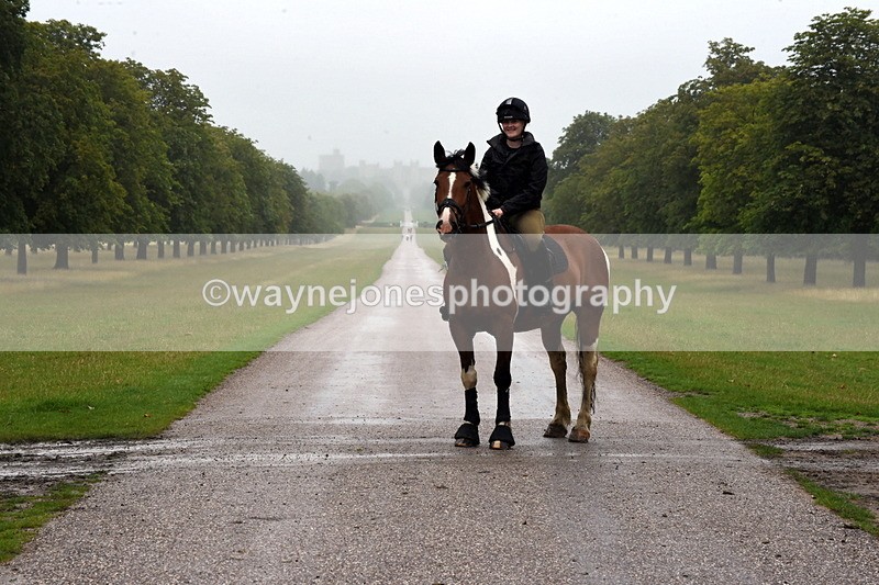 TT3_8363 - Time at Crossing 10:16 to 11:38