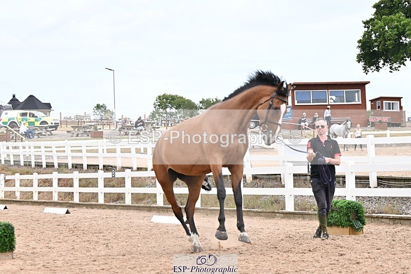 250716-155105-02229 - Trot Up 3.30 to 4.30