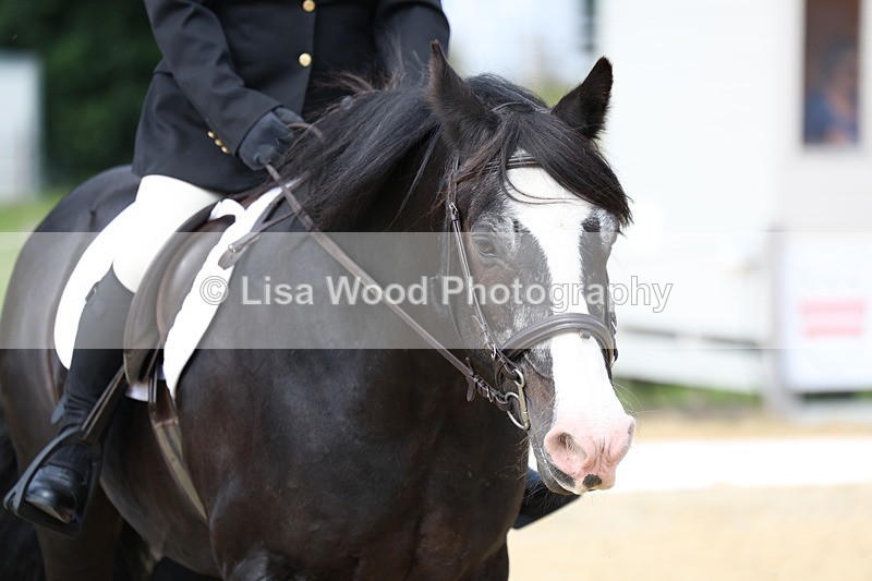 3E7A1241 - Class 1: Intro 2 2024 Section A