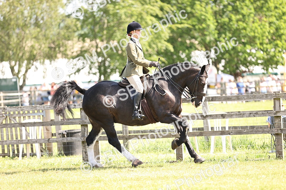 SBM_13713 - Class 77 - LIHS BSHA Rising Star Cobs