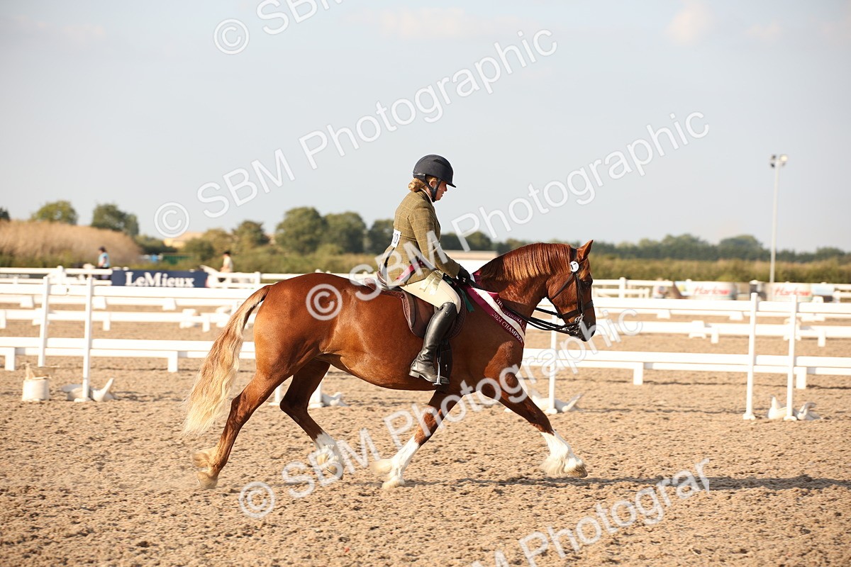 SBM_09220 - Regional Ridden Champ