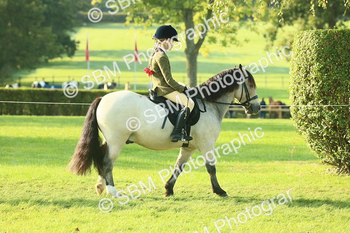 SBM_59123 - S38 - Starters Ridden Showing