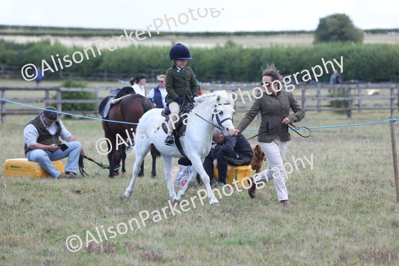 20250831-2380 - Class 16 - Family Pony