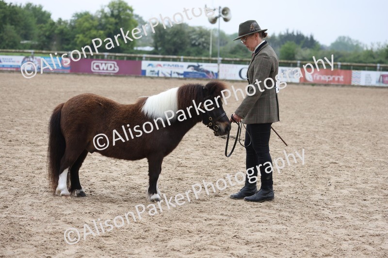 20260504-0526 - Class 4 - Minitures and Shetlands