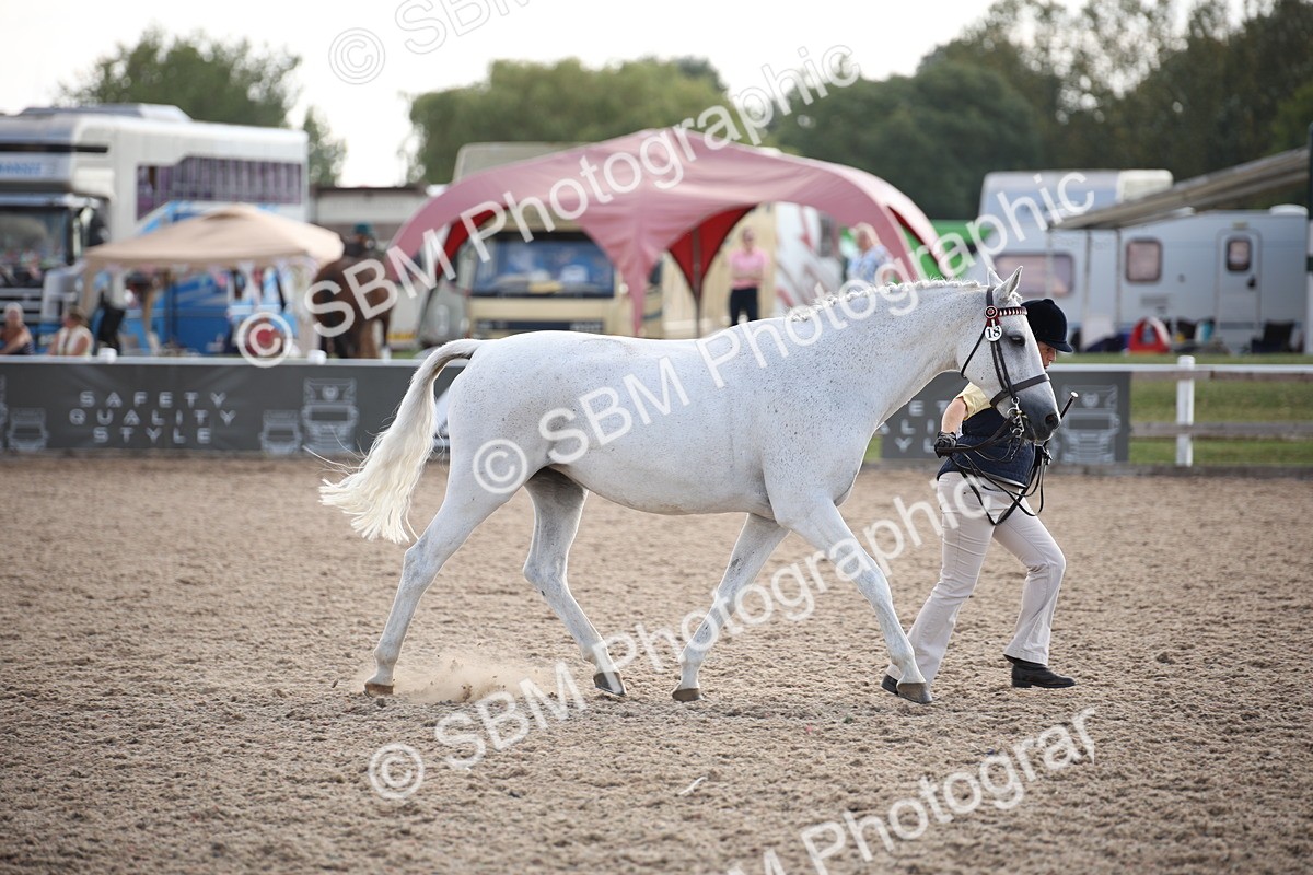 SBM_07104 - Class 25 IH Foreign Breeds- Pure bred