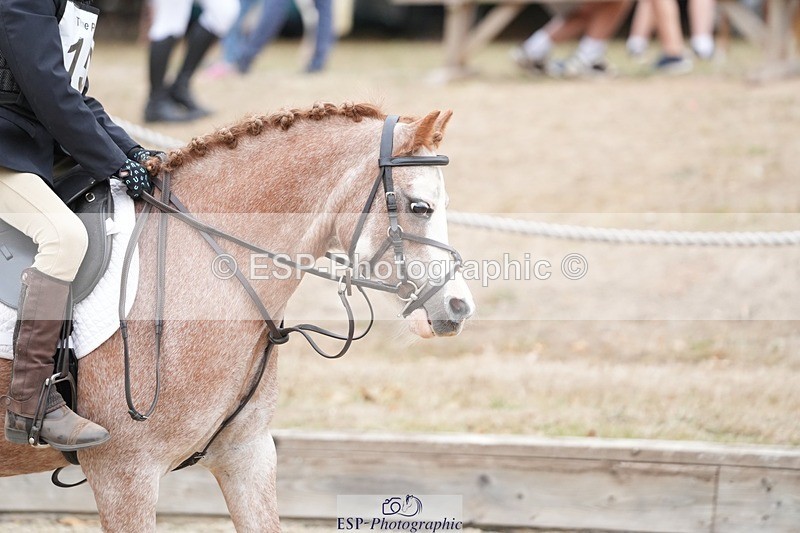 250820A-110139-04147 - Round 2, 10.45 to 11.45 Break