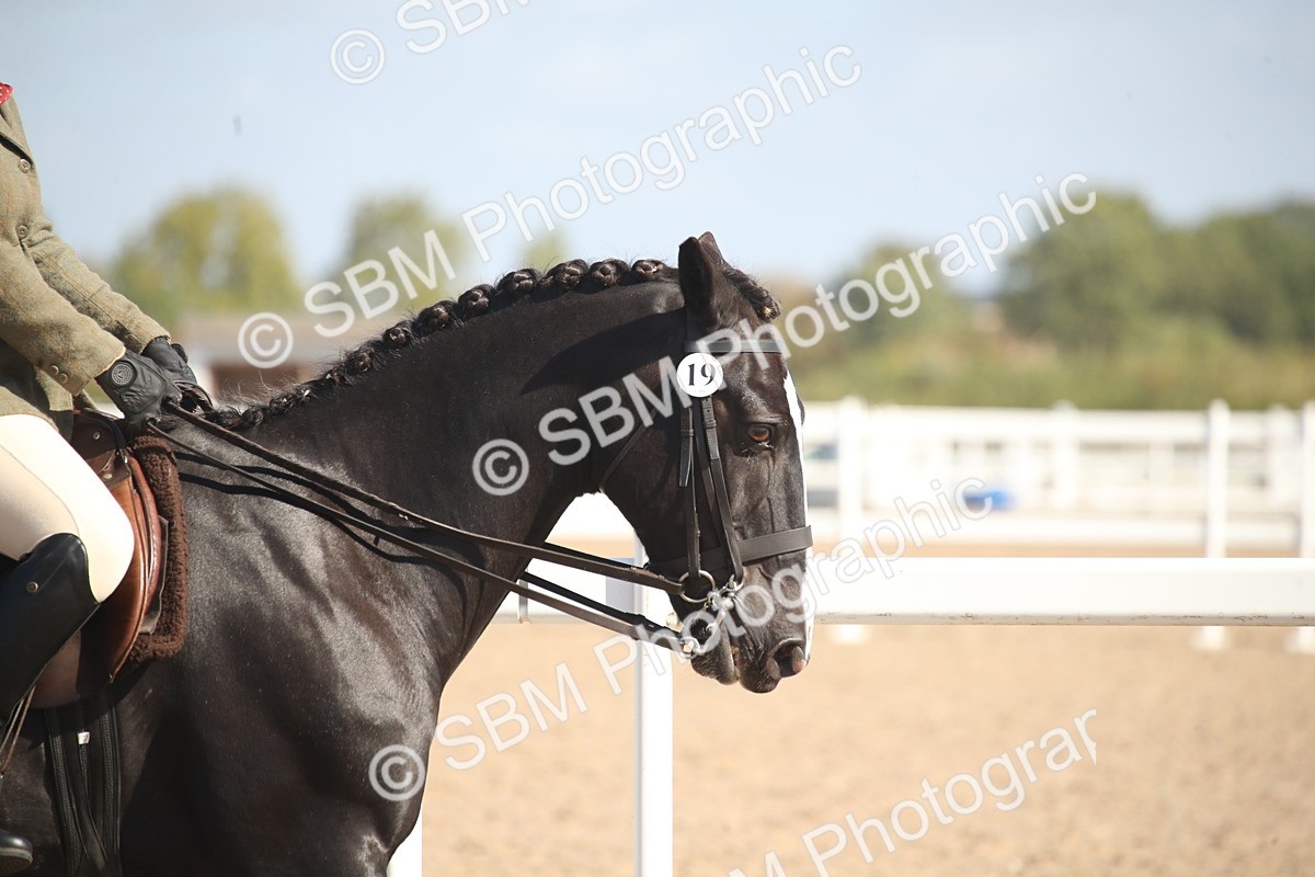 SBM_22898 - Class 603 - 2026 - Ridden Pre Vet