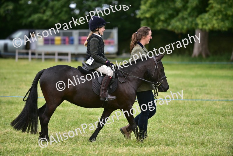 20260614-3640 - Class 15 - Prettiest Mare