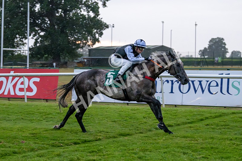 150725-Race 8-Good Karma-7685 - Race 8