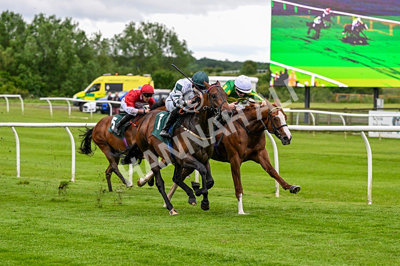 110626-Race 1-Collateral Damage-4104 - Race 1 18.22pm British EBF Maiden Stakes