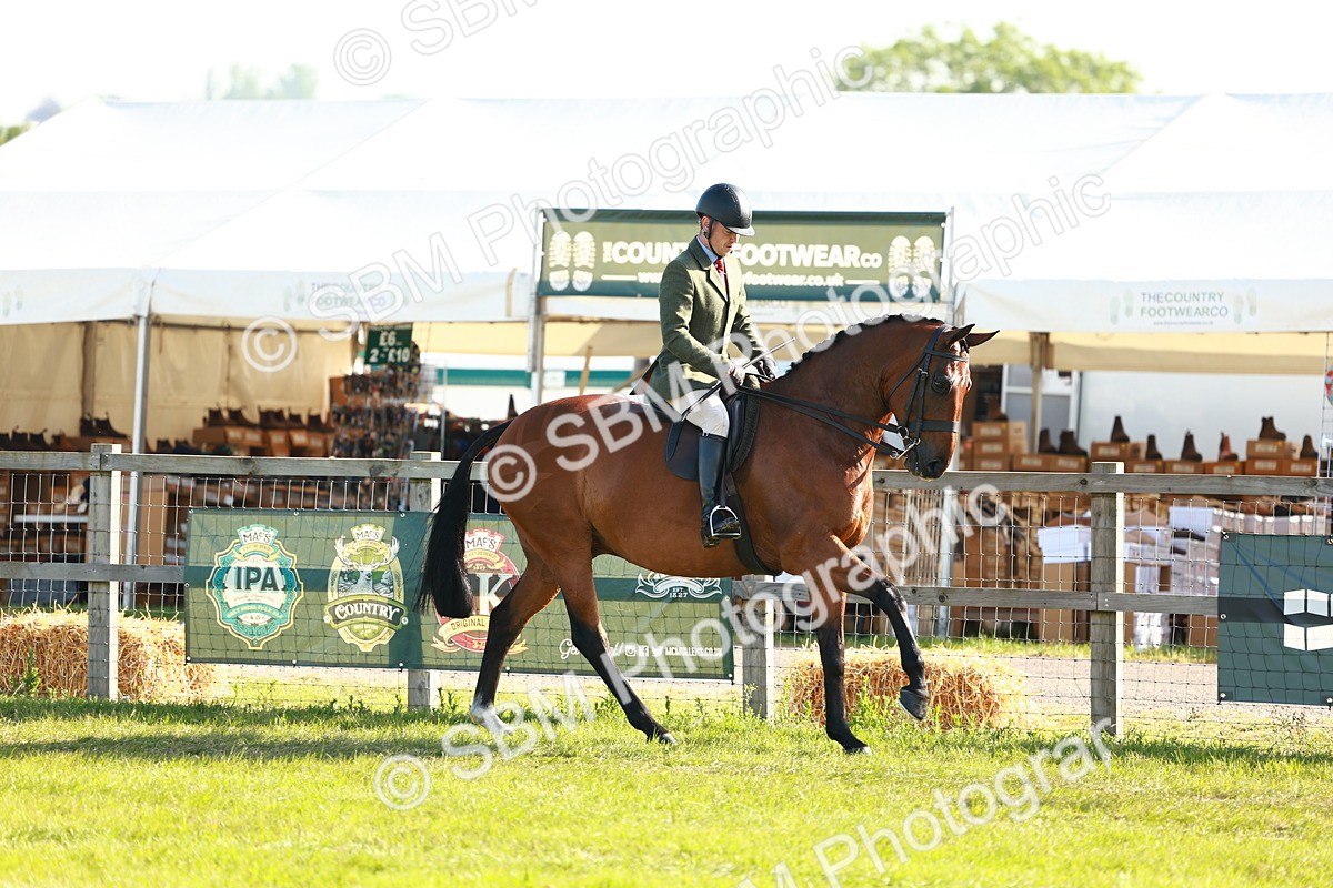 SBM_10747 - Class 66-69 - RIHS Ridden Hunters Inc Small Hunter