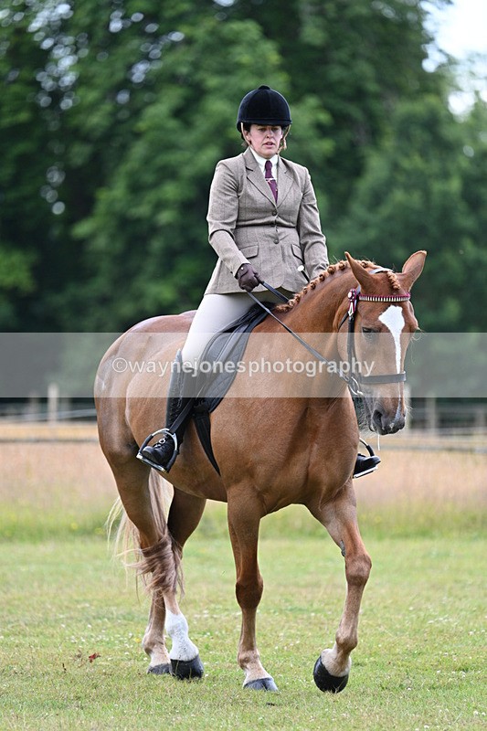 WJ7_9083 - Class 8 Ridden Veterans
