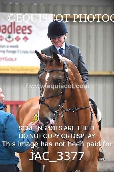 JAC_3377 - CLASS 8 BHS Scotland Riding Club Working Hunter Qualifier