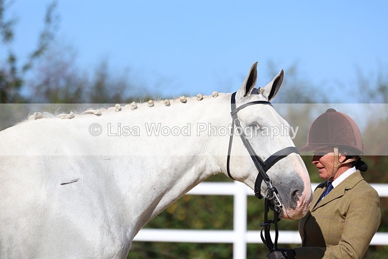 3E7A5574 - Class 9: Open Ridden Hunter