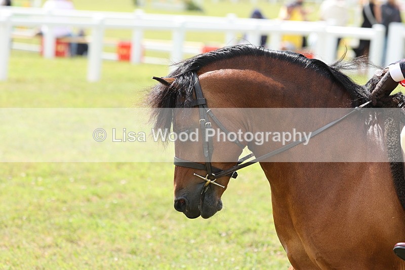 JPP_1647 - Cornish Combination Championship