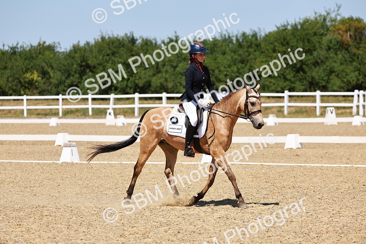 SBM_011617