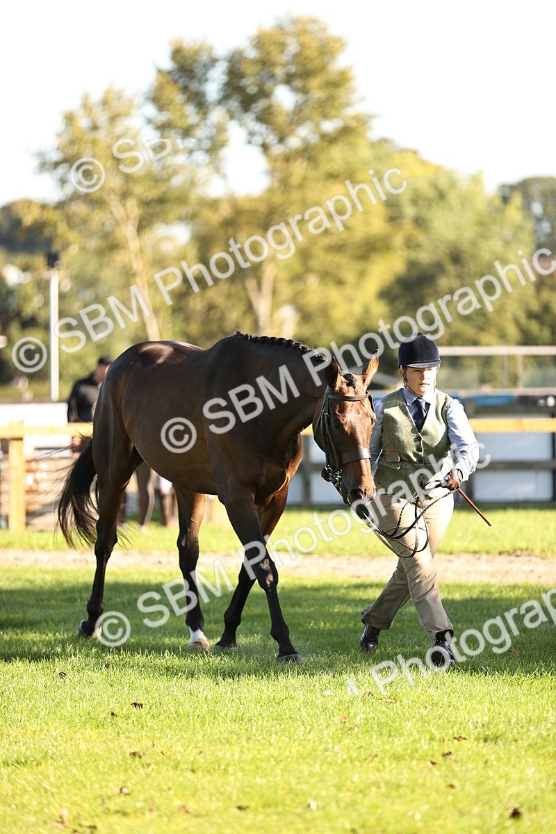 SBM_15744 - S1 - TSR in Hand Horse & Pony Showing