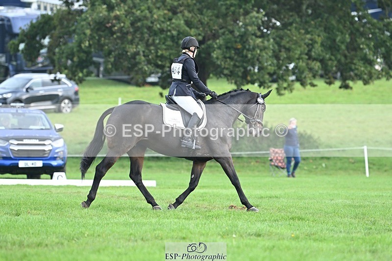 231020-094330-05736 - 464-IMPERIAL.TANGLE-Deborah.Burrell-DR