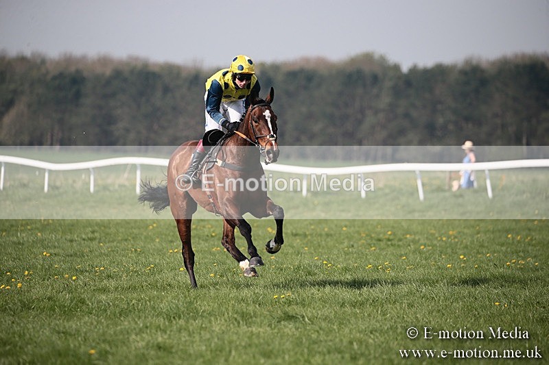 PtP 210418 441 - South & West Wilts Point-to-Point Larkhill 21/04/18