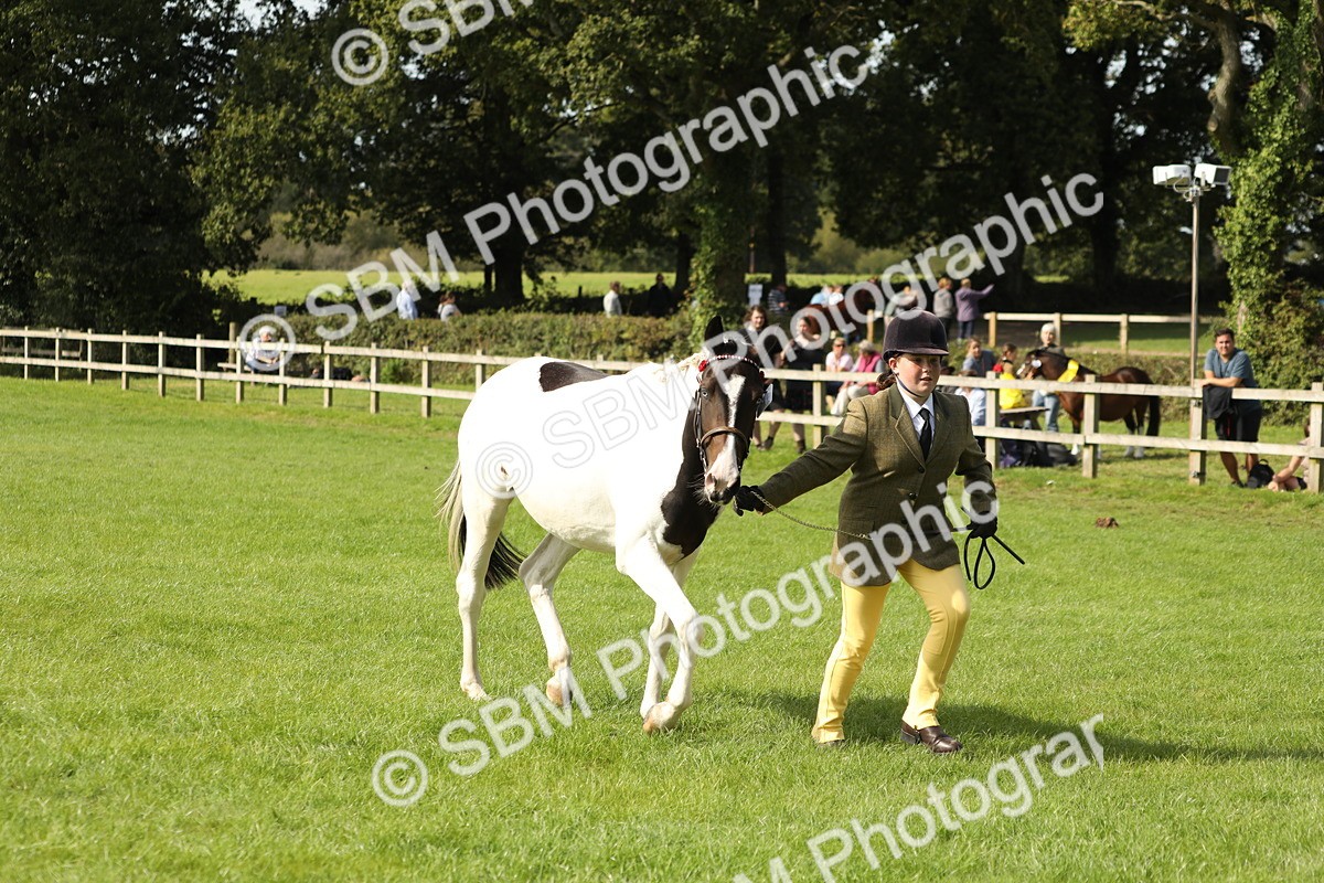 SBM_68631 - S40 - Junior Handler 9-12 Years