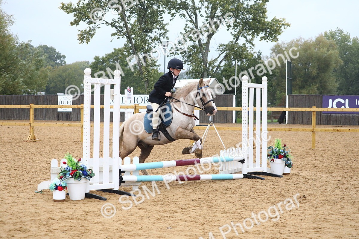 SBM_71568 - J4 - Mini Tour Junior Pony 45cm Championship