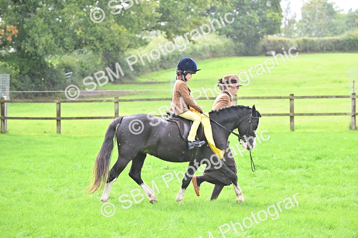 SBM_38367 - S19 - Lead Rein Show & Show Hunter Pony