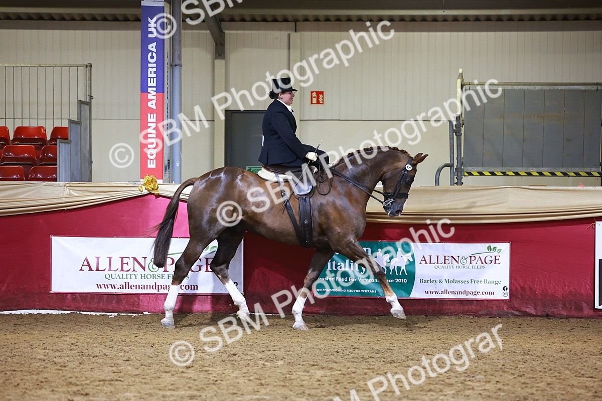 SBM_15014 - Class N - Side Saddle Champ