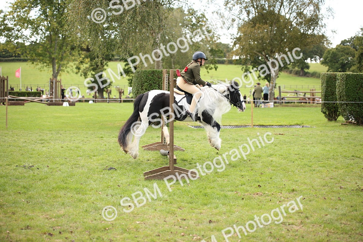 SBM_42364 - S13 - Pony Club Pony