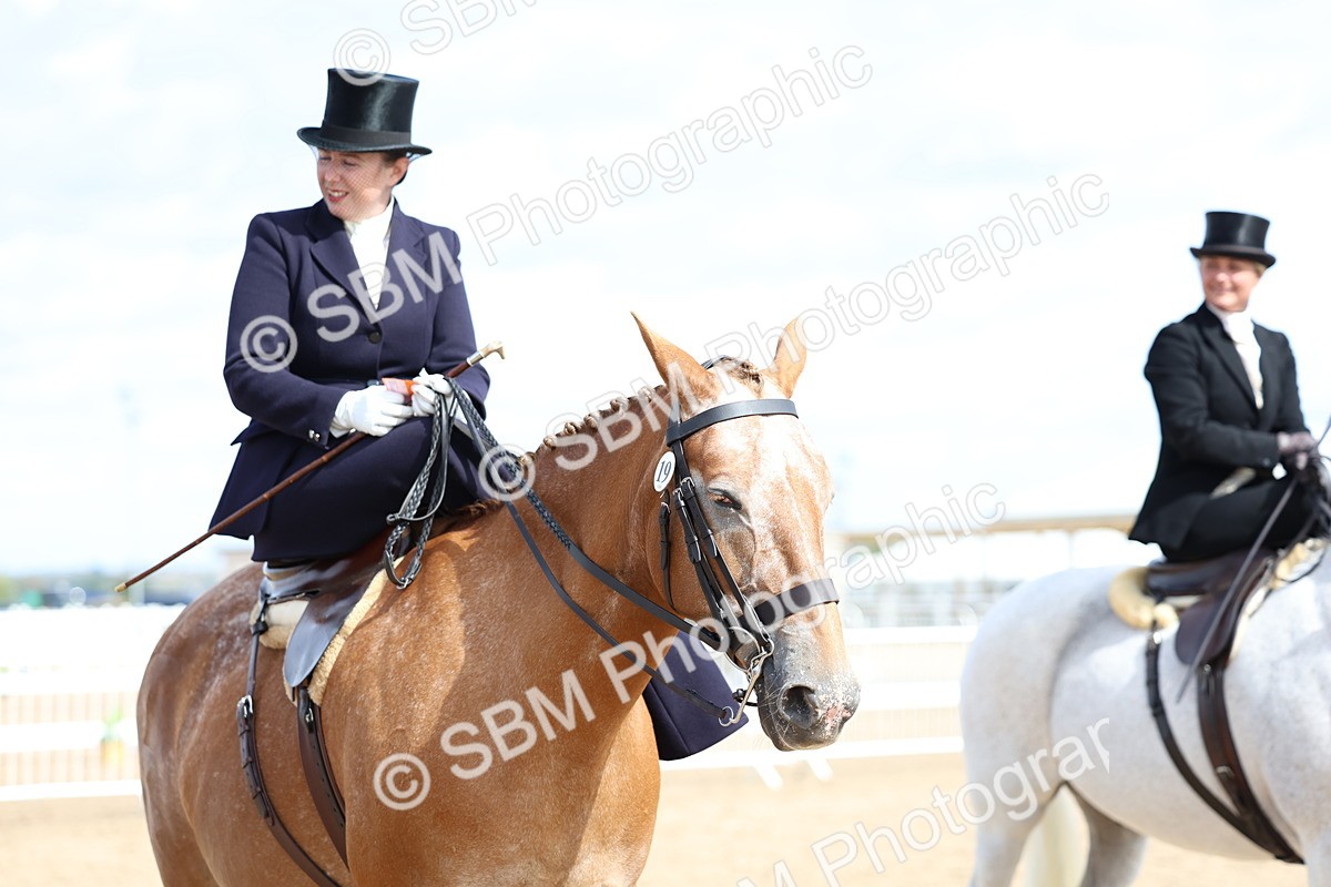 SBM_03265 - Class 22 - SSA Equitation (any age)