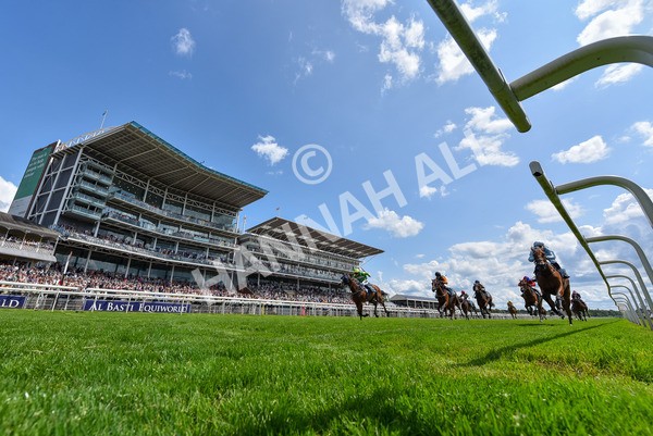 140625-Race 2-My Dream World-4588 - Race 2 2.25pm Queen Mother's Cup Handicap