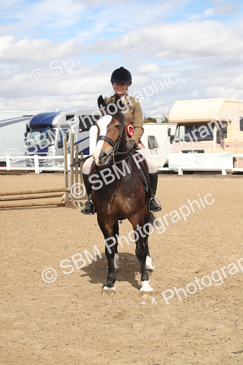 SBM_14595 - Class 505a - M&M Working Veteran - 50cm (15-19)