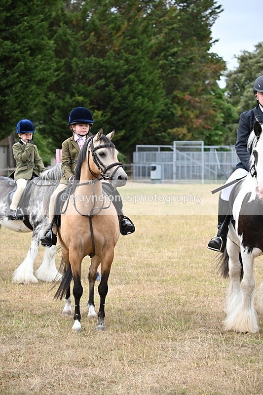 WJ6_7685 - Class 9 Tack and Turnout