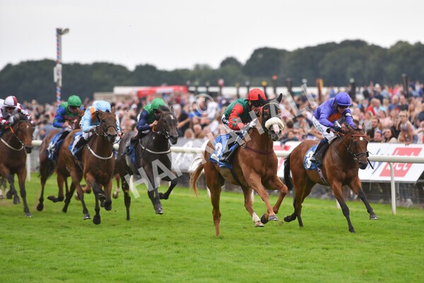 yr24072021r7-51 - Race 7 5.35pm The Sporting Life Fast Results Stakes