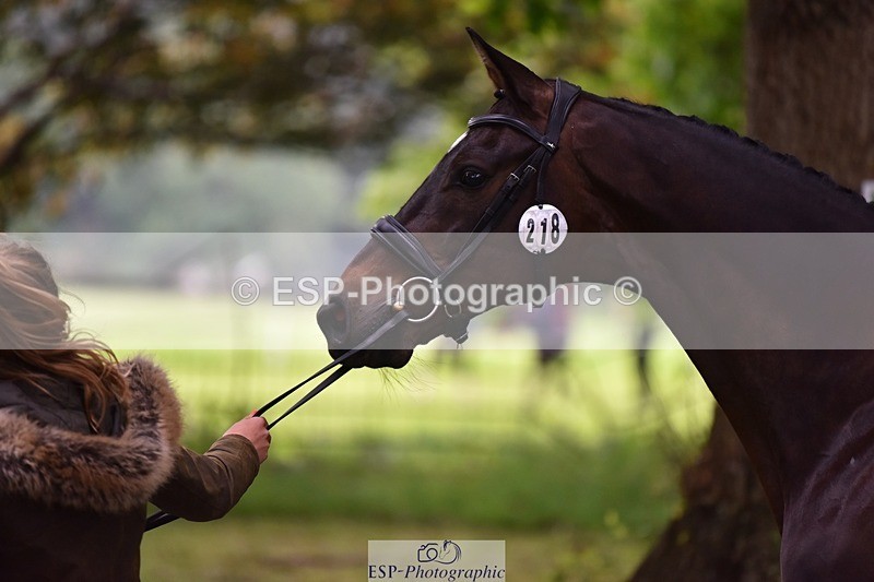 240522-164344-01117 - 218-DALI_III-Natasha_Bailey