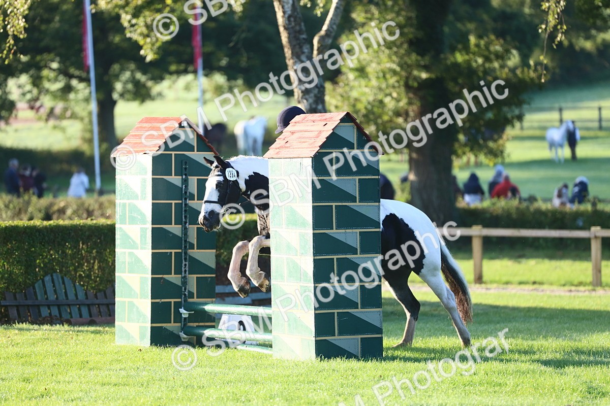 SBM_37153 - S29 - Novice & Newcomers Working Hunter Pony