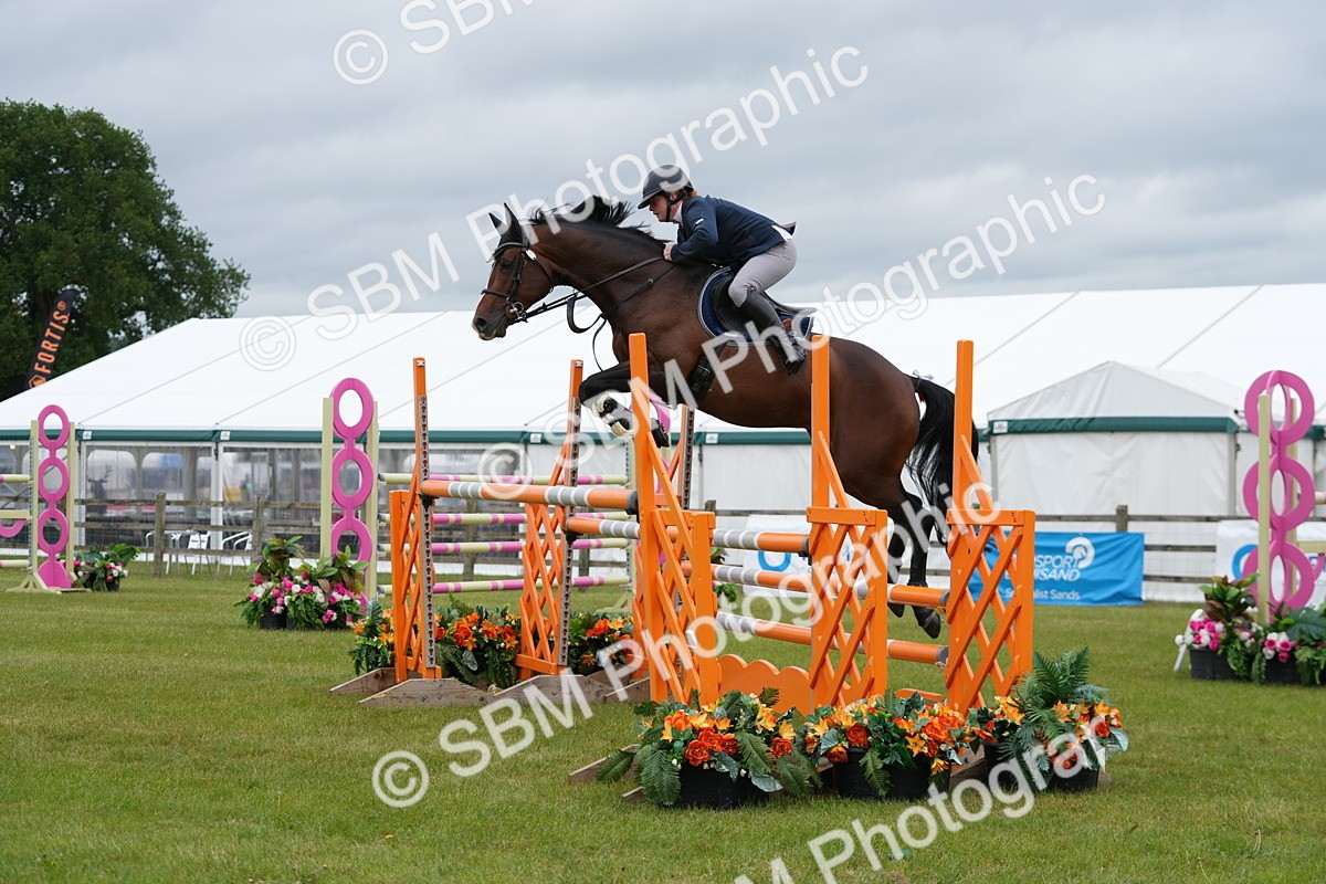 SBM_03339 - Class 201 - British Horse Feeds Speedi Beet Horse of the Year Show Grade  C