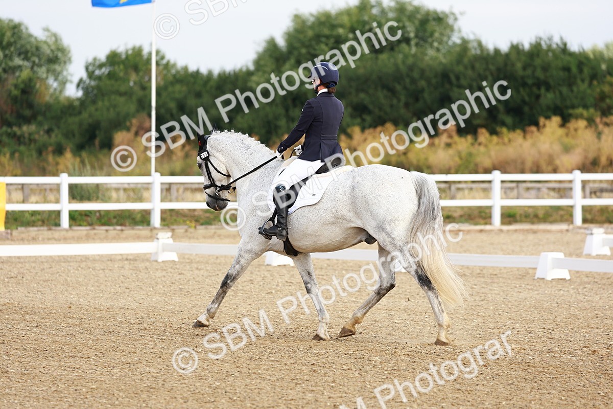 SBM_008017
