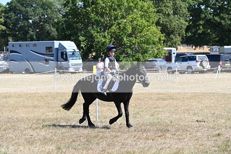 WJ6_8372 - Class 37a Best Loan Pony Ridden